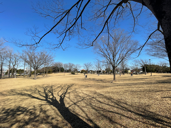 北野台中央公園(公園)