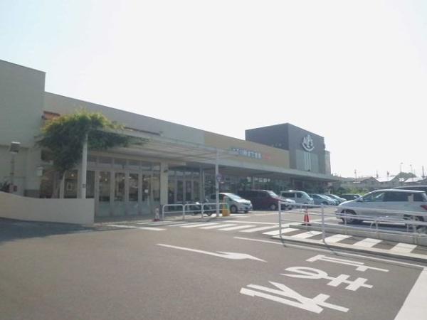 (その他)
