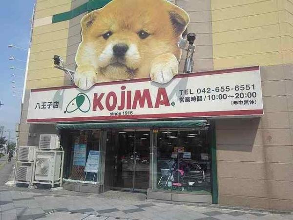 (その他)