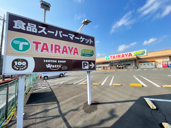 エコスTAIRAYA(スーパー)