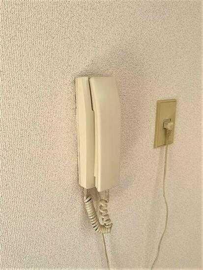 (セキュリティ)