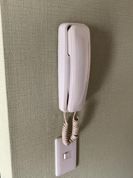 (セキュリティ)