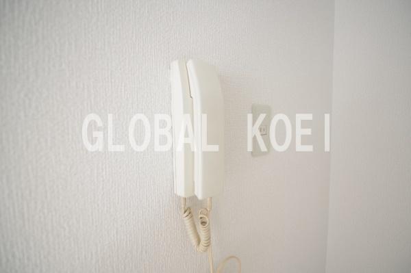 (セキュリティ)