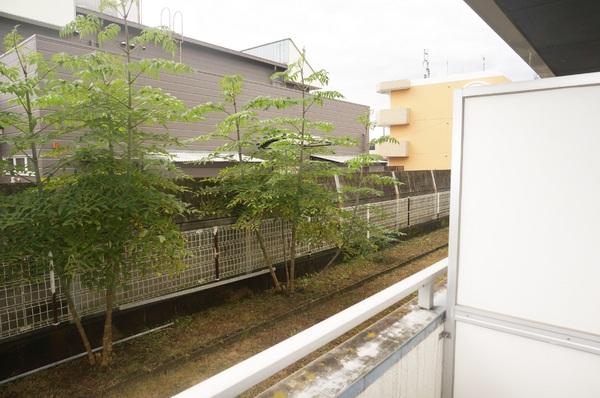 (現地からの眺望)