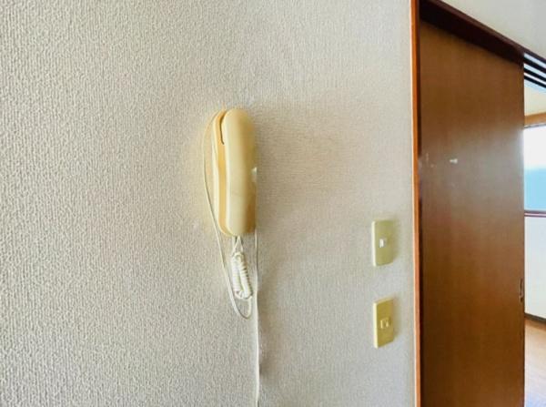 (セキュリティ)