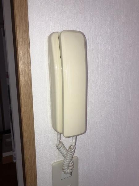 (セキュリティ)