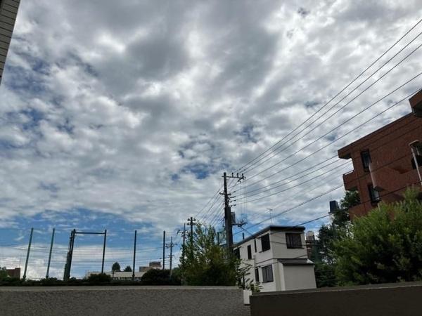 (現地からの眺望)