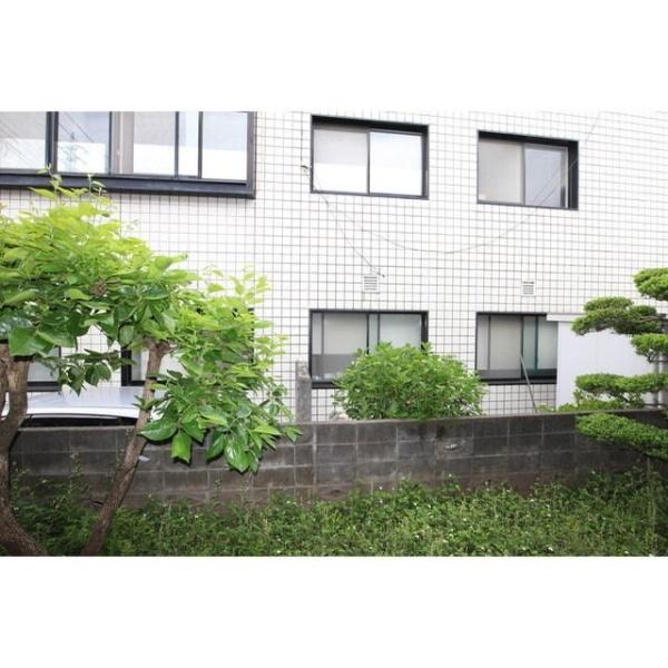 (現地からの眺望)