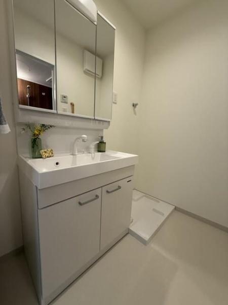 (洗面台・洗面所)