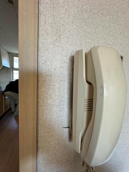 (セキュリティ)