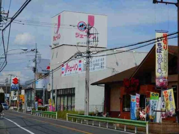 (その他)