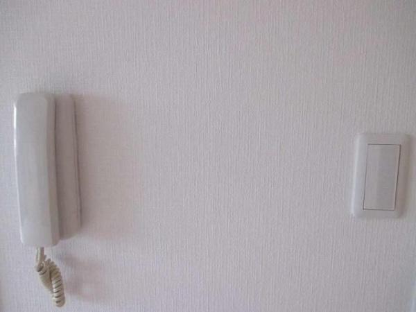 (セキュリティ)